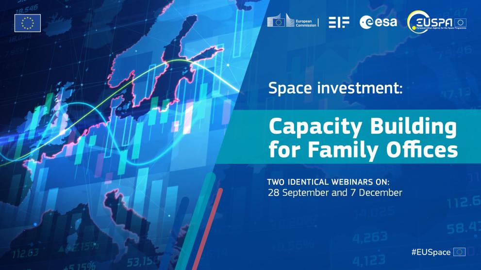 Capacity Building Family Offices v2